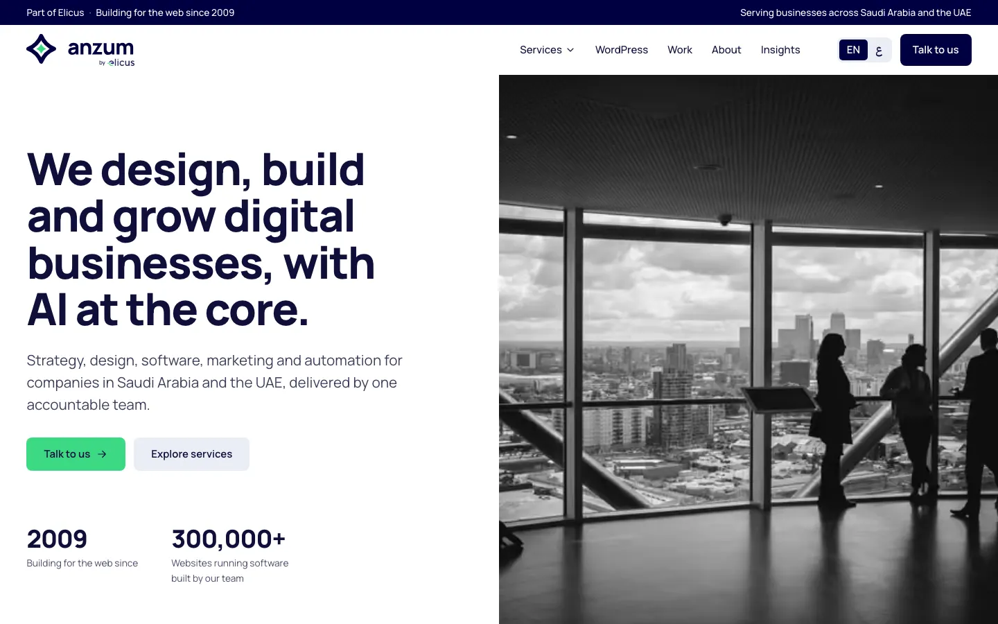 Anzum website