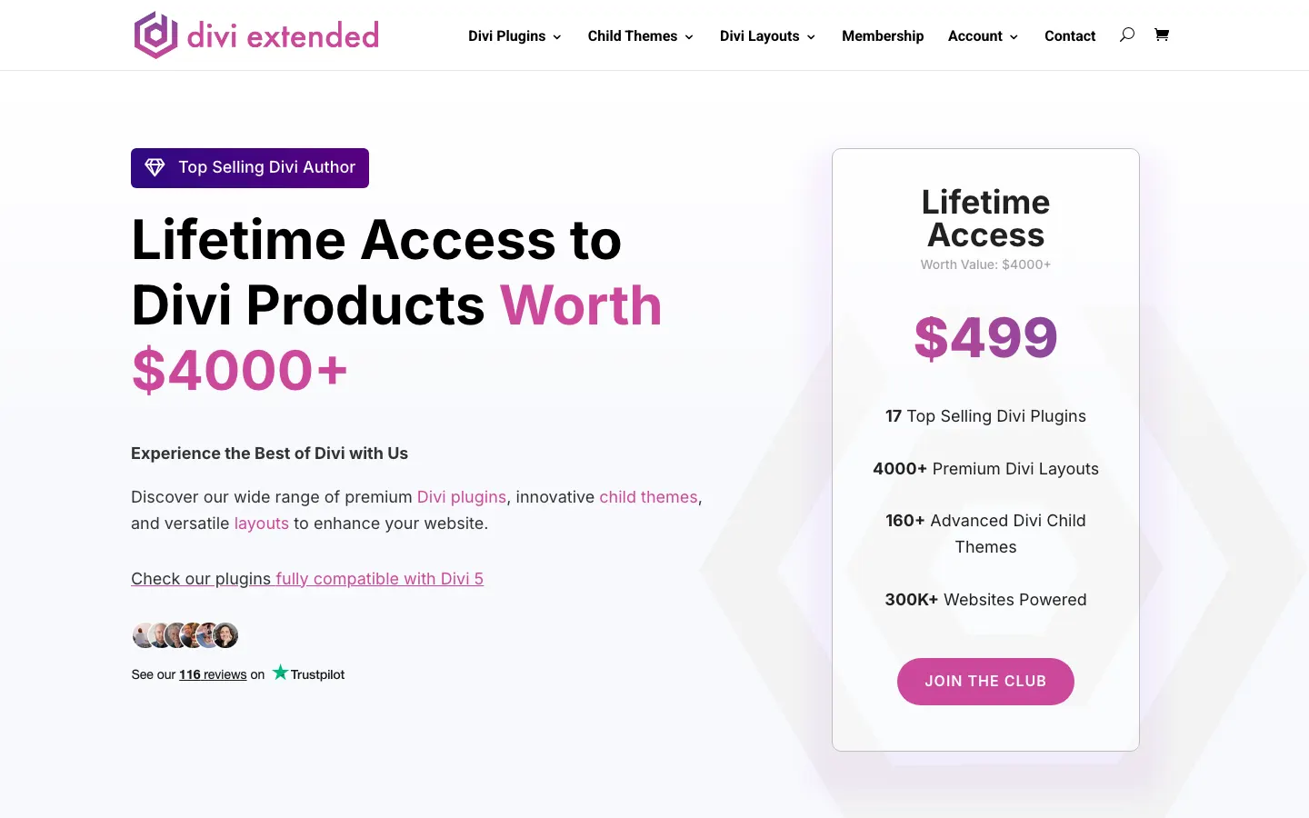 Divi Extended website